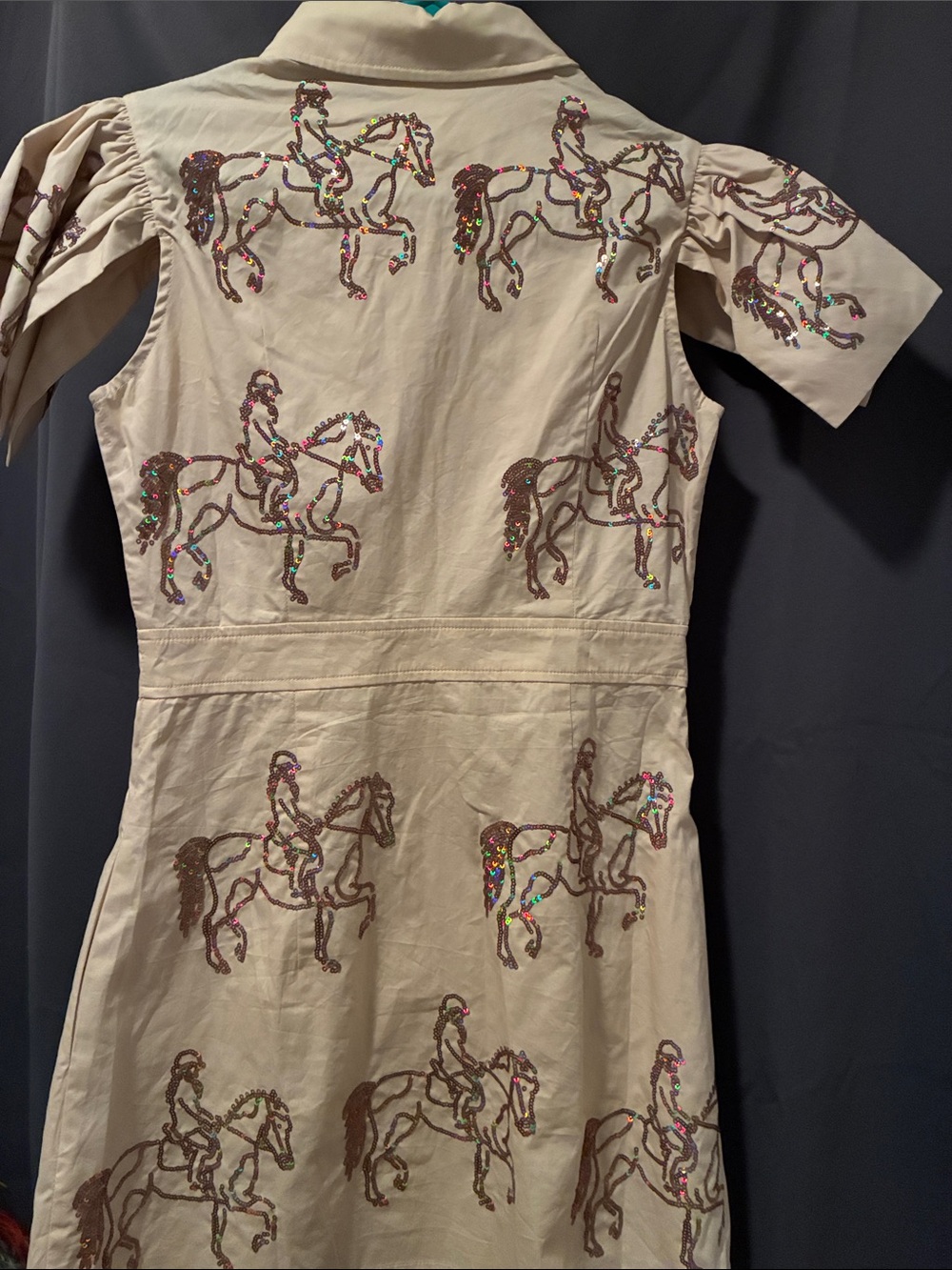Beaded Equestrian Embroidered Tan Shirt Dress - Picture 5 of 5